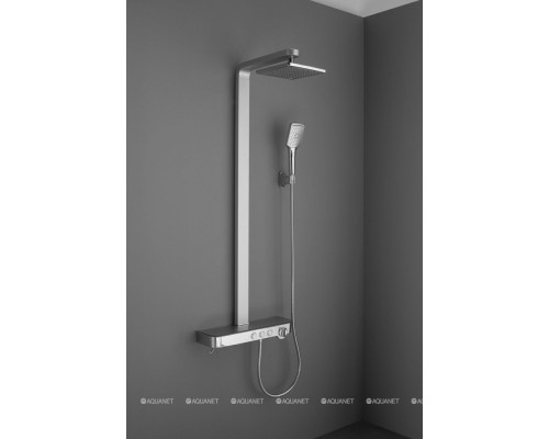 Душевая стойка Aquanet SF2060CS-S