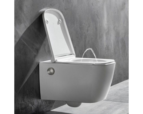 TECEneo Унитаз-биде подвесной 54х36х36см, безободковый, смыв Tornado, с крепежом, цвет: белый. 9700205