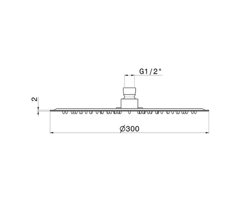 Newform Head Showers Верхний душ 30см, настенный/потолочный, h=2мм, цвет: stainless steel. 29393X.50.050