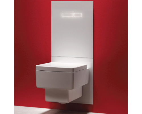 TECElux Комплект для установки унитаза-биде DURAVIT, с верхней панелью 430times;555times;16 мм, с механическим блоком управления стекло цвет: белый . 9650000,  9650103