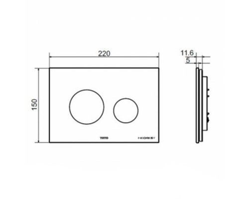 TOTO SG/Jewelhex Клавиша смыва, 220x5x150мм, подходит для встроенных бачков ТЕСЕ, цвет: белый TOTO SG/Jewelhex Клавиша смыва, 220x5x150мм, подходит для встроенных бачков ТЕСЕ, цвет: белый