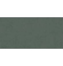 Керамогранит Kerama Marazzi Про Чементо DD507420R 60x119,5 зеленый матовый