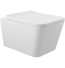Унитаз подвесной Aqueduto Macio MAC0120 безободковый, с микролифтом, белый матовый + Ершик Ridder Gaudy Gaudy 2231402 розовый