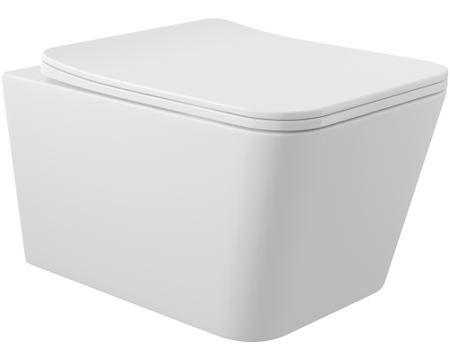 Унитаз подвесной Aqueduto Macio MAC0120 безободковый, с микролифтом, белый матовый + Ершик Ridder Gaudy Gaudy 2231402 розовый