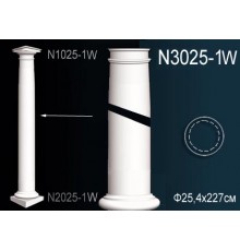 Тело колонны N3025-1W