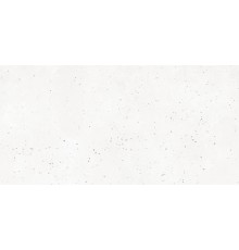 Керамогранит Grasaro Granella G-40/MR/ 0x11 60x120 белый
