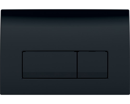 Кнопка смыва Geberit Delta 50 115.119.DW.1 черная