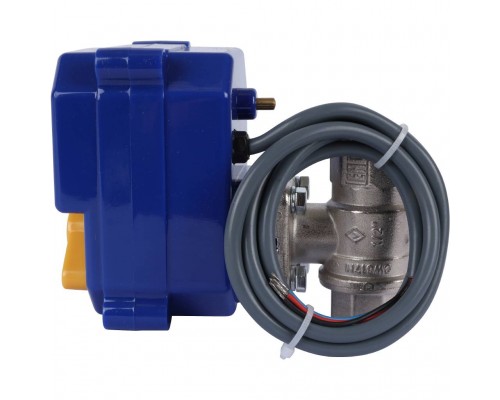 Кран с электроприводом Neptun Bugatti Pro 220В 1/2 (100035632400)