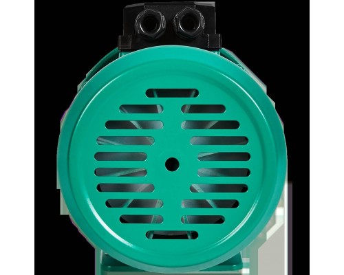 Поверхностный насос Wilo WJ-203-X-DM-IE3 (4212734)