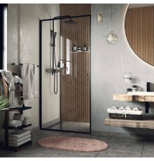 Душевая дверь в нишу Wasserkraft Dill 61S31