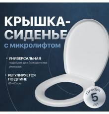 Крышка-сиденье DIWO Анапа 0304 с микролифтом, термопласт