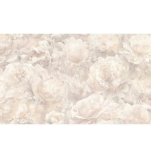 Обои Home color Pions HC71995-12