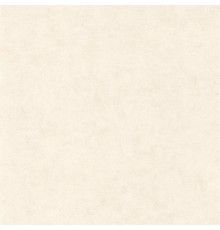 Обои Caselio Beton 101480010