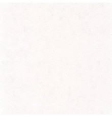 Обои Caselio Beton 101480000