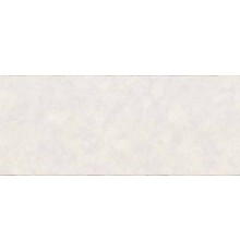 Обои Euro Decor Phoenix 7217-00