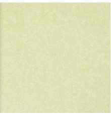 Обои BN International 50 Shades of colour 48466