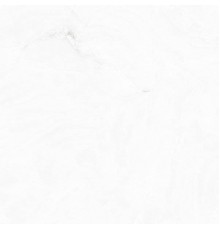 Керамогранит ABSOLUT GRES Profitland Bianco 60x60 полированный