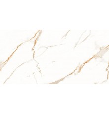 Керамогранит ABSOLUT GRES Bianco Dorado 60x120 полированный