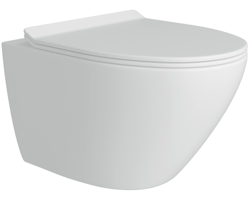 Унитаз подвесной Teymi Lina Pro T40106 с микрофлитом, безободковый, белый