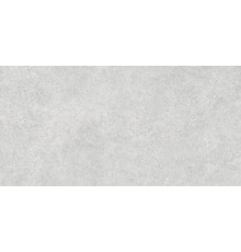 Керамогранит Alma Ceramica Amsterdam GFA114ADM07CR 57x114 серый, сатинированный