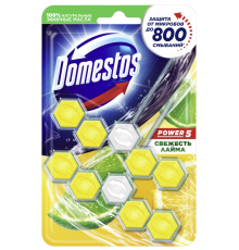 Туалетный блок для унитаза Domestos Power 5 свежесть лайма дуо 2х55 г