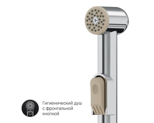 F90A03000 Смеситель для раковины с гигиеническим душем