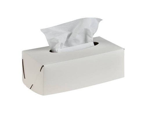 ADJ Салфетница Kleenex, 23x12xH7,5 см., цвет: белый/панна котта. 0016.10/16 ADJ Салфетница Kleenex, 23x12xH7,5 см., цвет: белый/панна котта. 0016.10/16