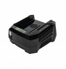 Зарядное устройство Greenworks G82C (82V) (2914707)