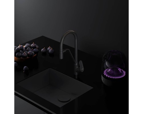 F8007822 Смеситель для кухни с каналом для питьевой воды и гибким изливом F8007822 Смеситель для кухни с каналом для питьевой воды и гибким изливом
