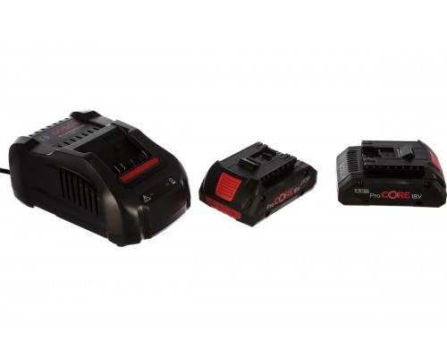 Набор Bosch аккумулятор + ЗУ (6GF)