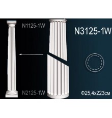 Тело колонны N3125-1W