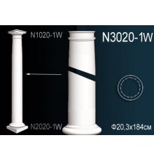 Тело колонны N3020-1W