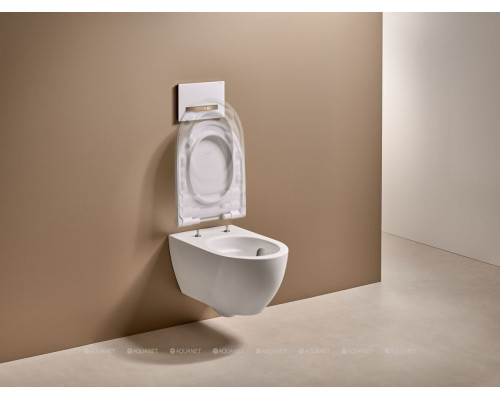 Унитаз подвесной Geberit Acanto 502.718.00.1