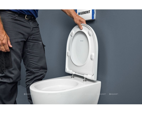 Унитаз подвесной Geberit iCon 2.0 503.048.00.1