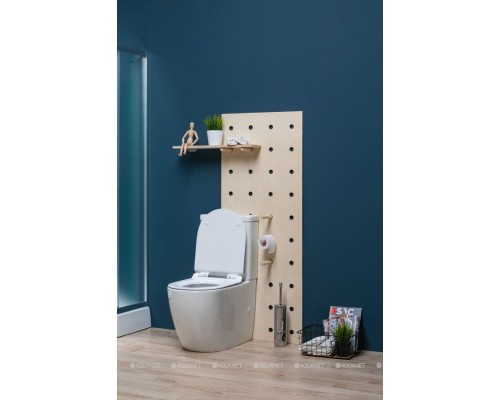 Унитаз-компакт Aquanet Rimless Cetus-C1 BL-102N-TPT