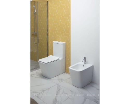 Унитаз с бачком напольный Aquanet Rimless Tavr-C1 BL-103N-TPT