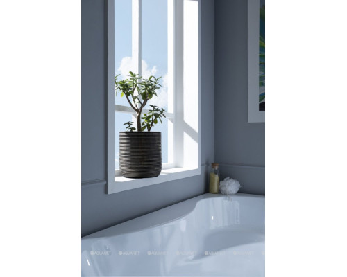 Акриловая ванна Aquanet Capri 170x110 R