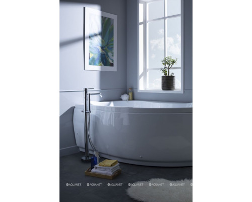 Акриловая ванна Aquanet Capri 160x100 L (с каркасом)