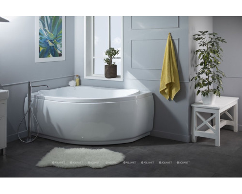Акриловая ванна Aquanet Capri 160x100 L (с каркасом)