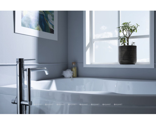 Акриловая ванна Aquanet Capri 160x100 L (с каркасом)