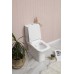 Унитаз-компакт Aquanet Rimless Cube-C CL-12248B