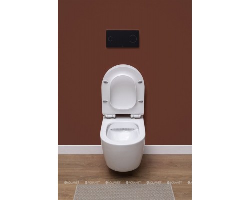 Унитаз подвесной Aquanet Rimless Cetus-W BL-102N-WHT