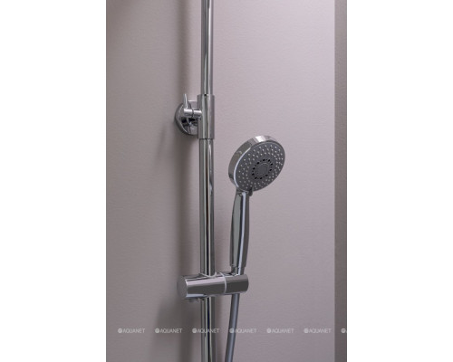 Душевая стойка Aquanet Passion R3