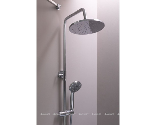 Душевая стойка Aquanet Passion R3