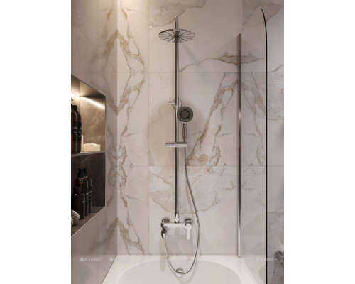 Душевая стойка Aquanet Passion R3