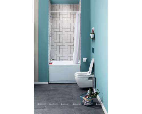 Акриловая ванна Aquanet Seed 100x70