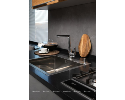 Смеситель для кухни Aquanet Pragmatic AF430-41С