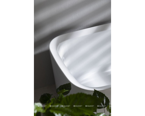 Акриловая ванна Allen Brau Infinity 3 170x78 2.21003.20