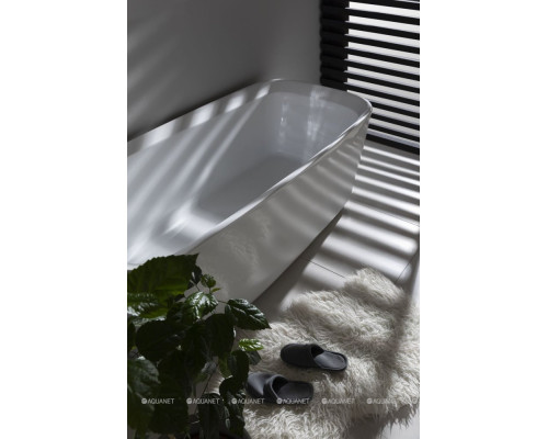 Акриловая ванна Allen Brau Infinity 3 170x78 2.21003.20