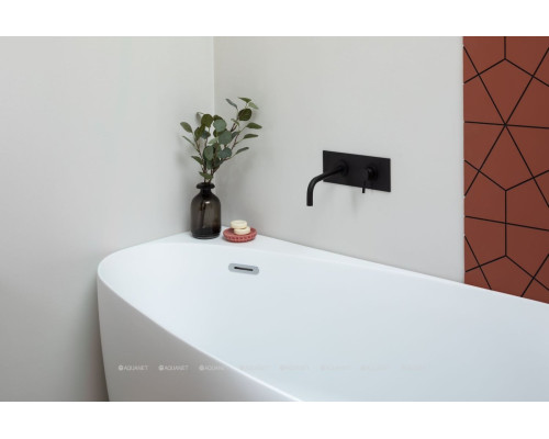 Акриловая ванна Allen Brau Priority 2 170x80 2.31002.21